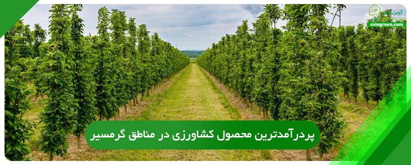 پردرآمدترین محصول کشاورزی در مناطق گرمسیر