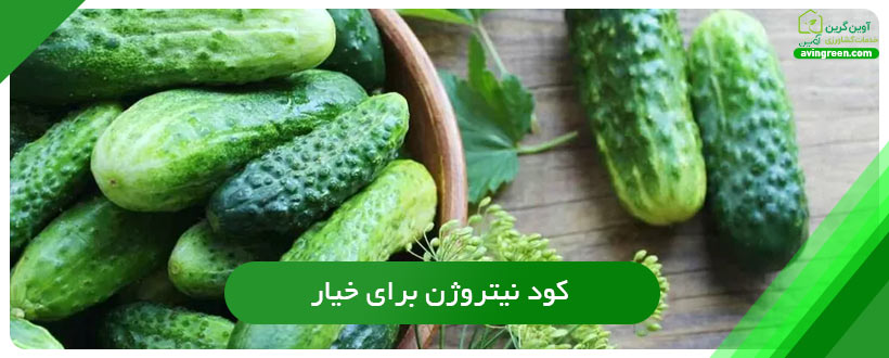 کود نیتروژن برای خیار