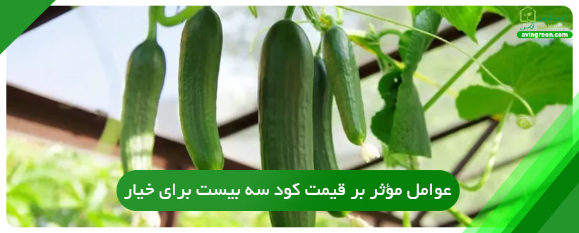 عوامل مؤثر بر قیمت کود سه بیست برای خیار