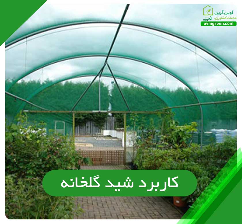 کاربرد شید گلخانه