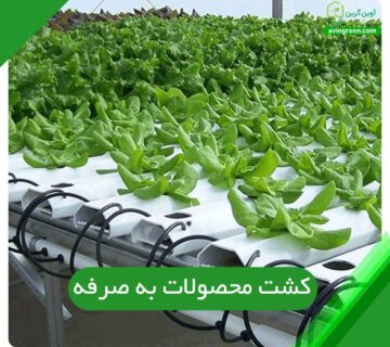 کشت محصولات به صرفه
