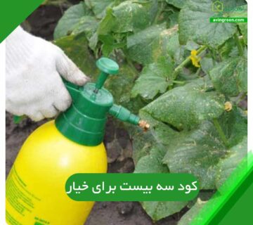 کود سه بیست برای خیار
