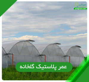 عمر پلاستیک گلخانه
