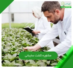 مشاوره کشت سایبانی