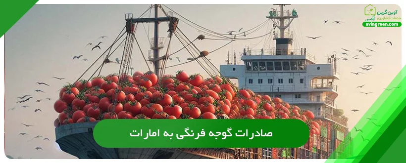 صادرات گوجه فرنگی به امارات
