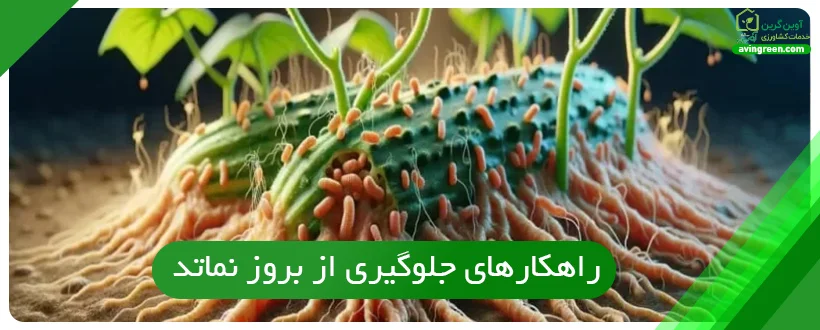 راهکار‌های جلوگیری از بروز نماتد