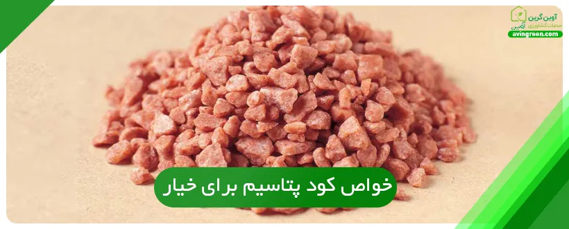 خواص کود پتاسیم برای خیار