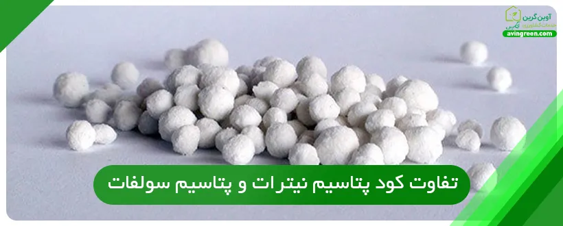 تفاوت کود پتاسیم نیترات و پتاسیم سولفات