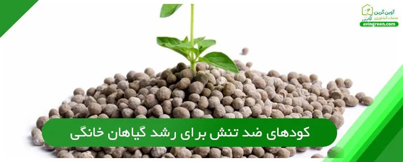 کودهای ضد تنش برای رشد گیاهان خانگی