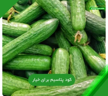 کود پتاسیم برای خیار