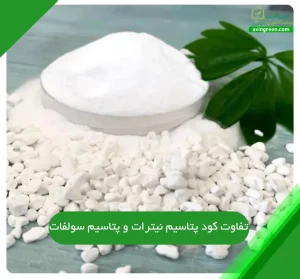 تفاوت کود پتاسیم نیترات و پتاسیم سولفات