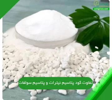 تفاوت کود پتاسیم نیترات و پتاسیم سولفات