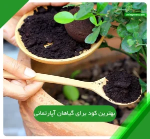 بهترین کود برای گیاهان آپارتمانی