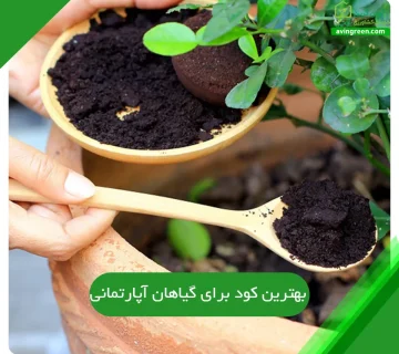 بهترین کود برای گیاهان آپارتمانی