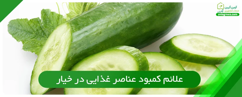 علائم کمبود عناصر غذایی در خیار
