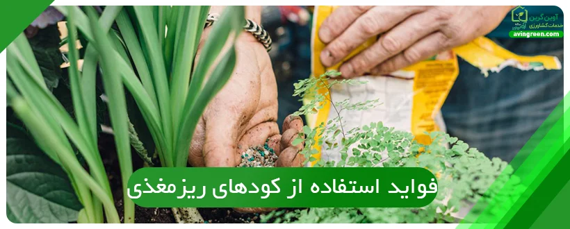 Benefits of using micronutrient fertilizers for plant growth improvement
