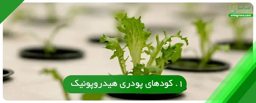 کودهای پودری هیدروپونیک