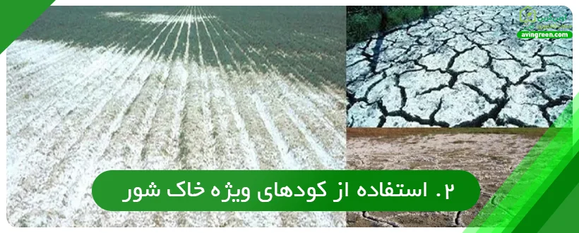 استفاده از کود های ویژه خاک شور
