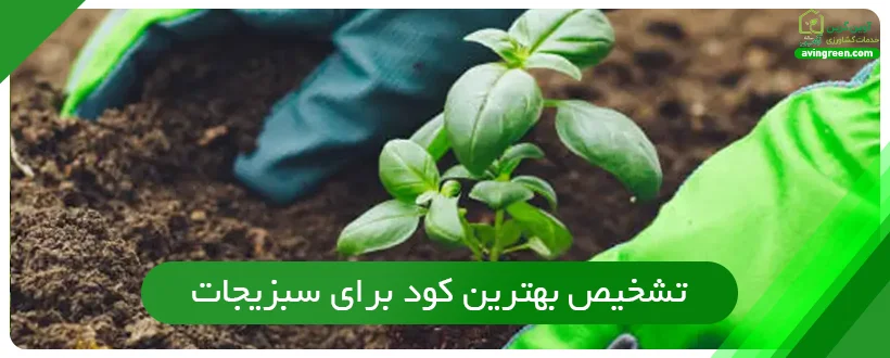 تشخیص بهترین کود برای سبزیجات 