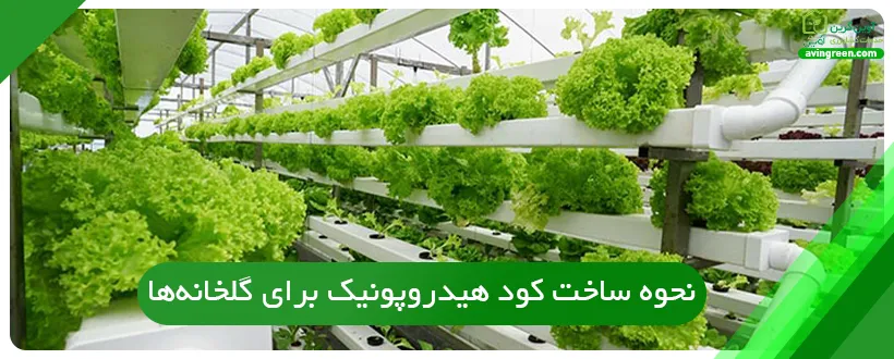 نحوه ساخت کود هیدروپونیک برای گلخانه‌ها
