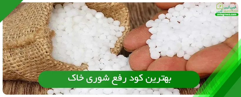 بهترین کود رفع شوری خاک 