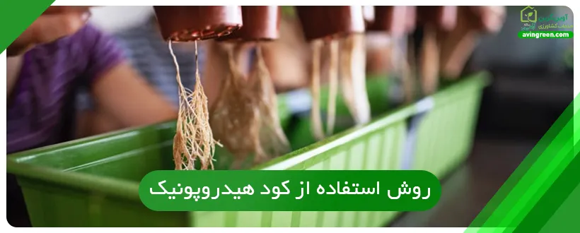 روش استفاده از کود هیدروپونیک