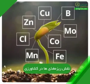 نقش ریزمغذی ها در کشاورزی