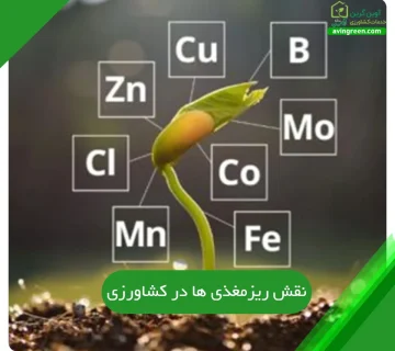 نقش ریزمغذی ها در کشاورزی