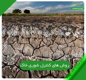 روش های کنترل شوری خاک