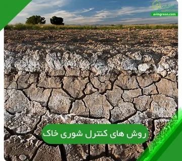 روش های کنترل شوری خاک