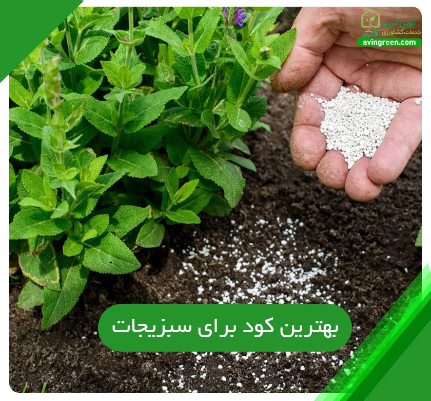 بهترین کود برای سبزیجات