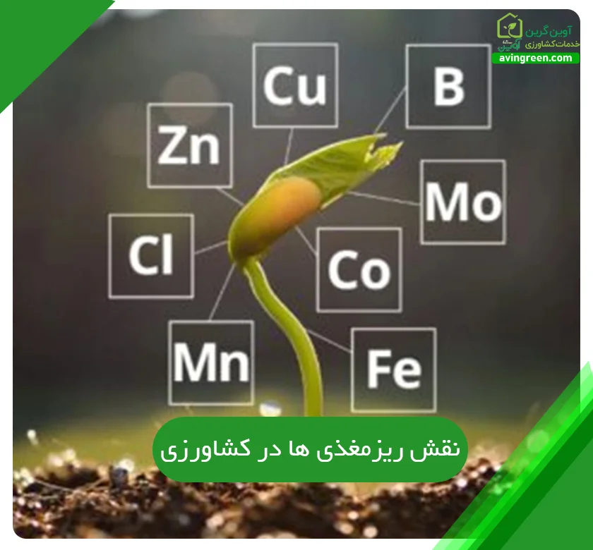 نقش ریزمغذی ها در کشاورزی