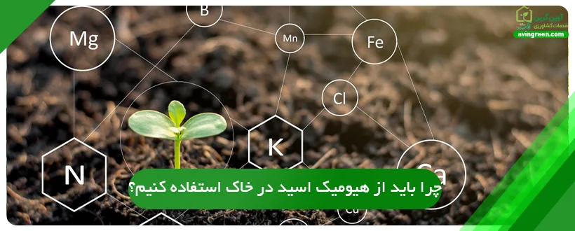 چرا باید از هیومیک اسید در خاک استفاده کنیم؟