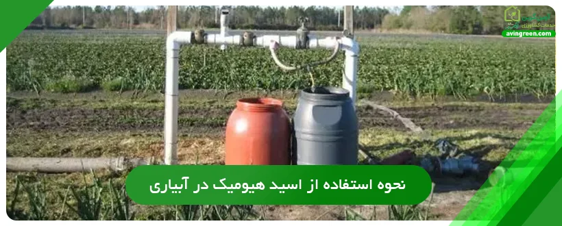 نحوه استفاده از اسید هیومیک در آبیاری