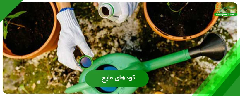 انواع کود مناسب ریشه زایی در گیاهان