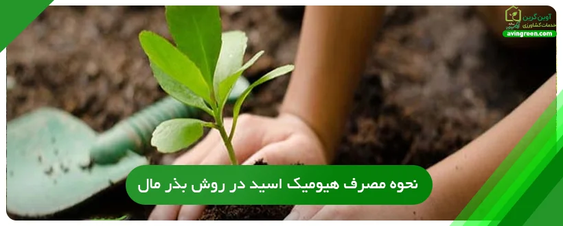 نحوه مصرف هیومیک اسید در روش بذر مال