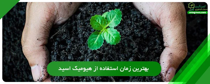 بهترین زمان استفاده از هیومیک اسید