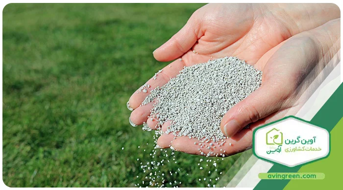 کود نیتروژن بهترین کود برای رشد سریع ریشه