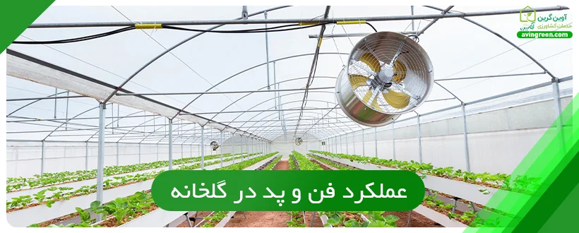 عملکرد فن و پد در گلخانه