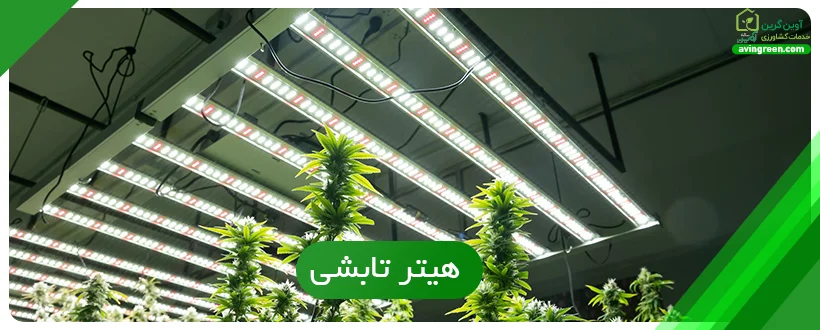 هیتر تابشی گلخانه