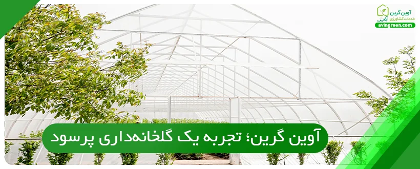 آوین گرین؛ تجربه یک گلخانه‌داری پرسود