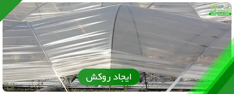ایجاد روکش روی گلخانه