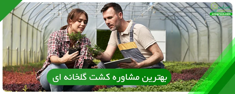 بهترین مشاوره کشت گلخانه ای