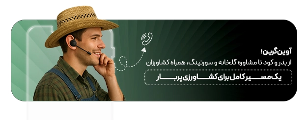 ارتباط با آوین گرین