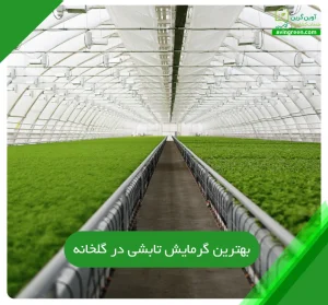 بهترین گرمایش تابشی در گلخانه