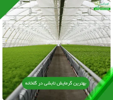 بهترین گرمایش تابشی در گلخانه