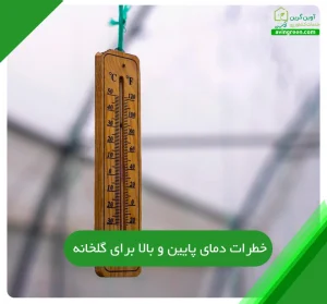 خطرات دمای پایین و بالا برای گیاهان گلخانه