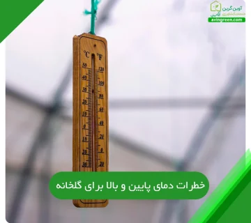 خطرات دمای پایین و بالا برای گیاهان گلخانه