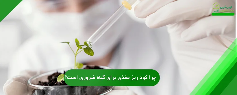 چرا کود ریز مغذی برای گیاه ضروری است؟