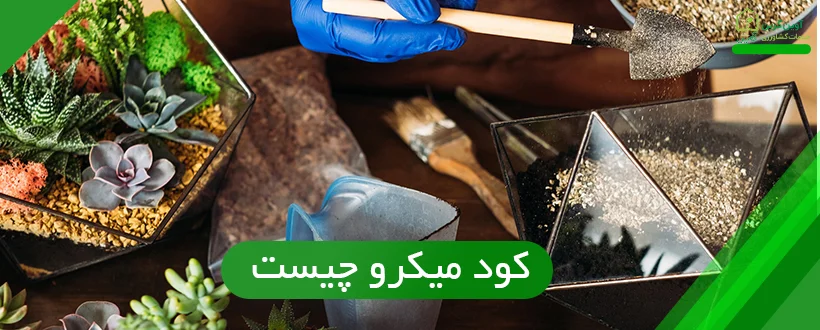 کود میکرو چیست؟